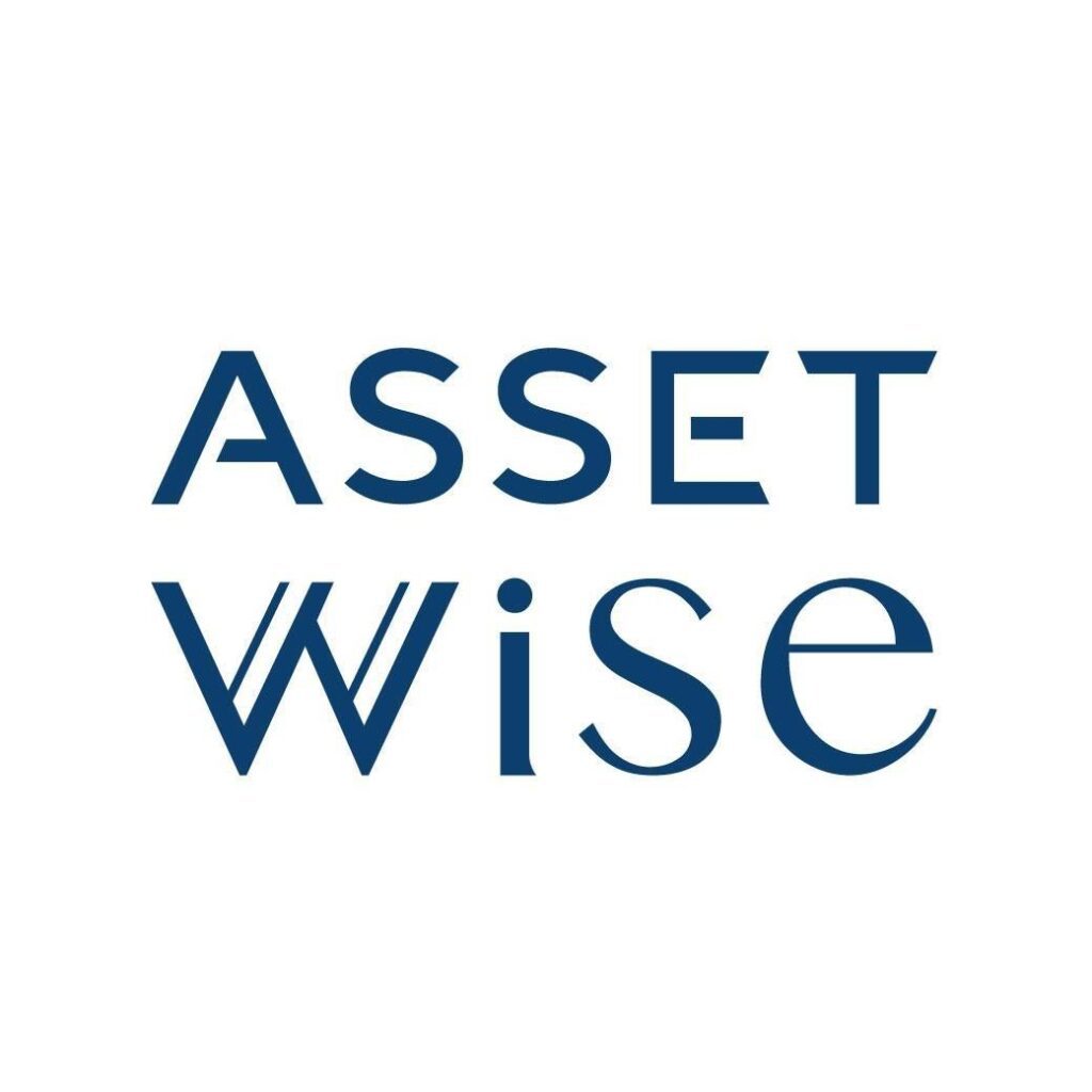 asset wise