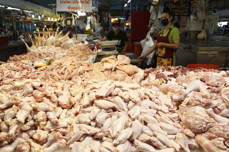 泰國政府宣布雞肉凍漲
